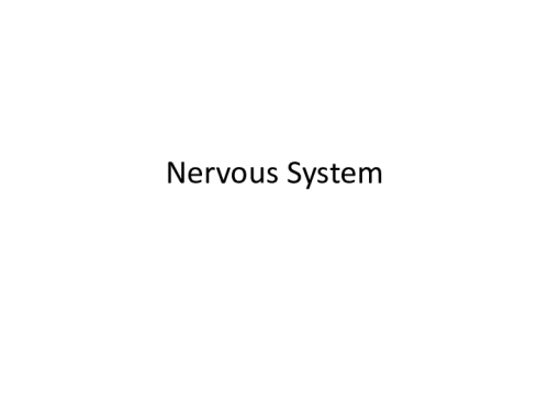 6 Neuro OUT Carnielli 2017.11.241